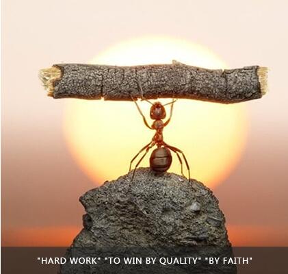 J9���λ�-������Ϸ��һƷ��