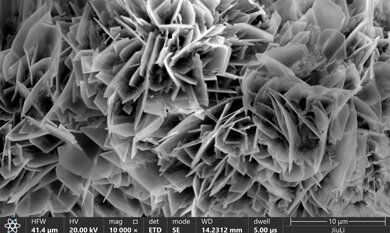 J9���λ�-������Ϸ��һƷ��